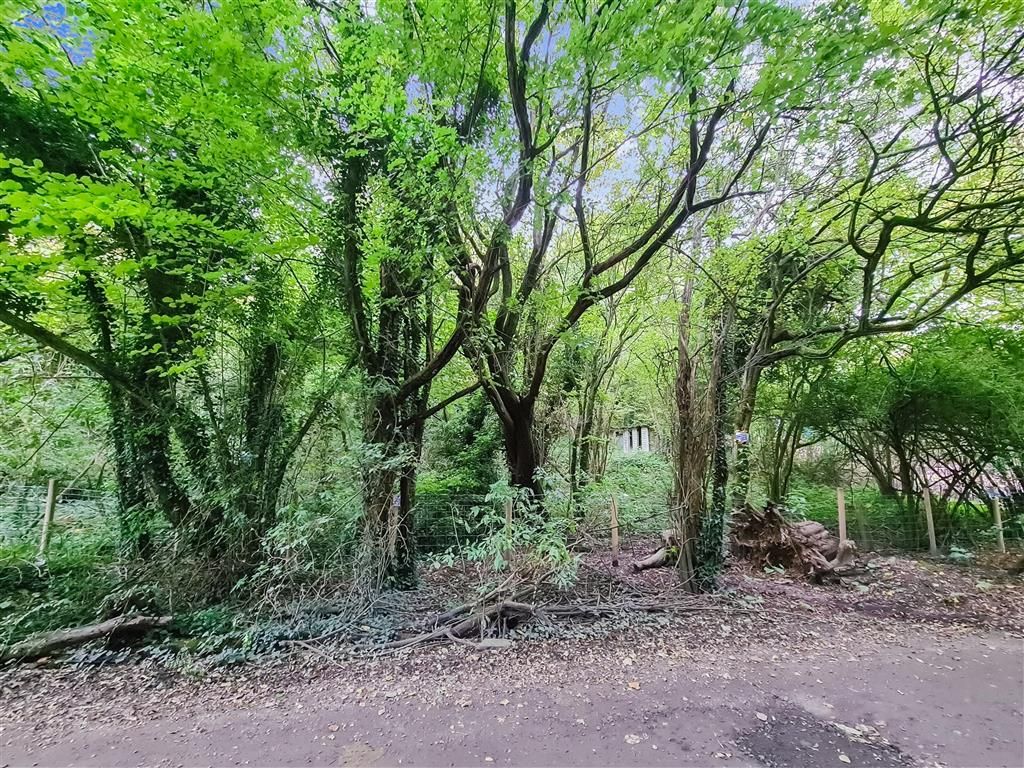 Land for sale in Rhododendron Avenue, Culverstone, Meopham, Kent DA13