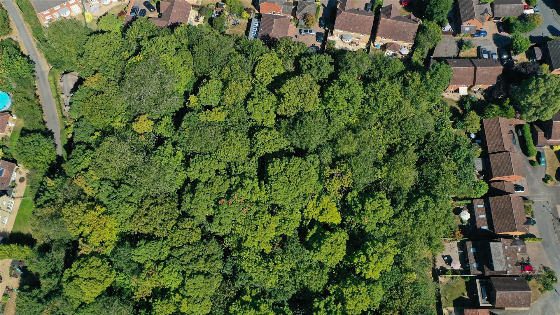 Land for sale in Thorley Lane East, Thorley, Stortford CM23