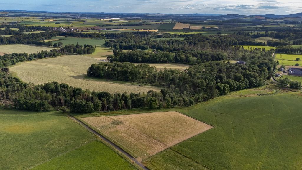 Land for sale in Fasque Estate, Aberdeenshire AB30 Zoopla