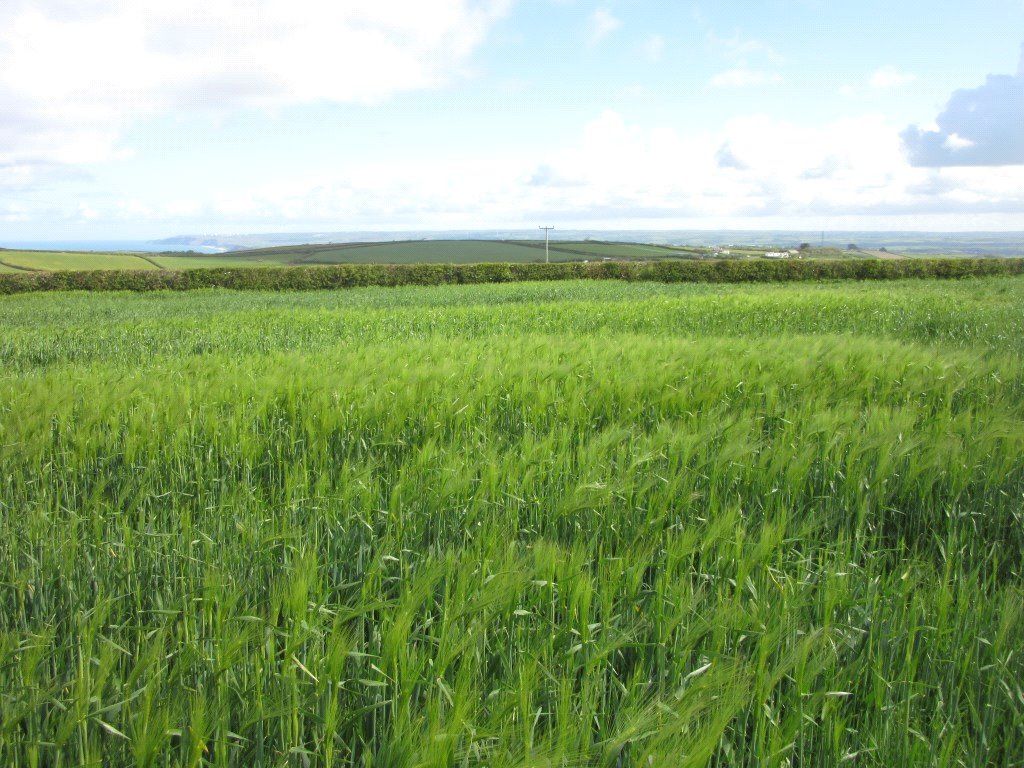 Land for sale in Poundstock, Bude EX23 Zoopla