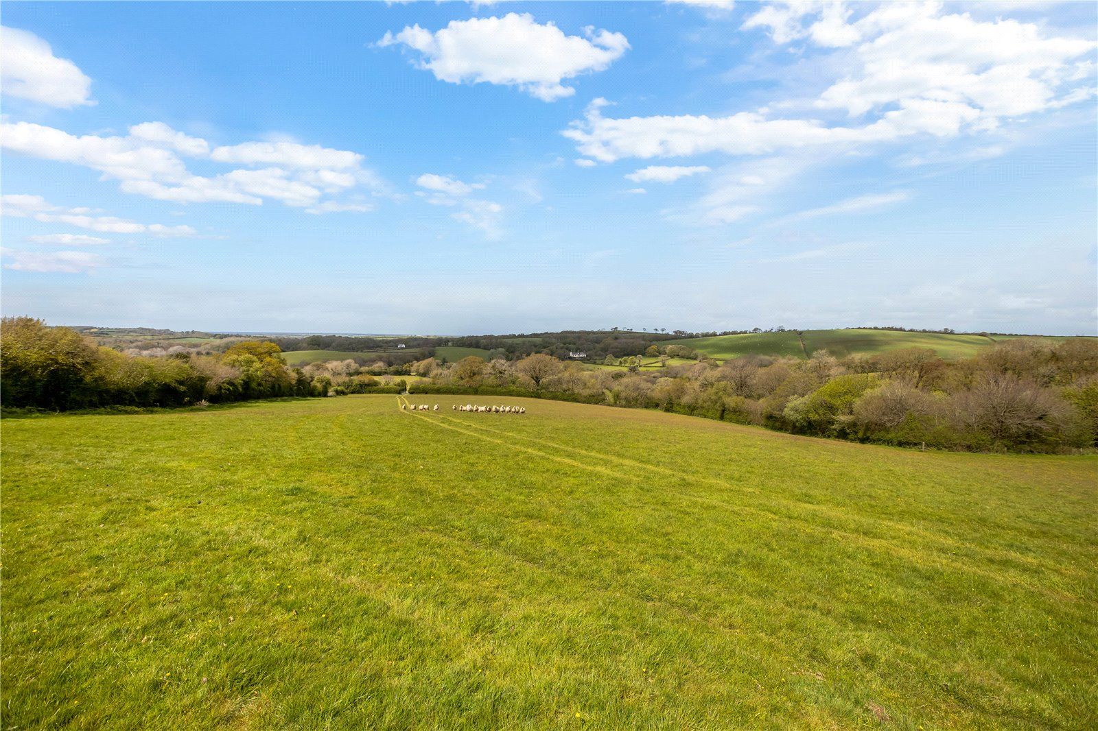 Land for sale in Addiscott, South Tawton, Okehampton, Devon EX20 Zoopla