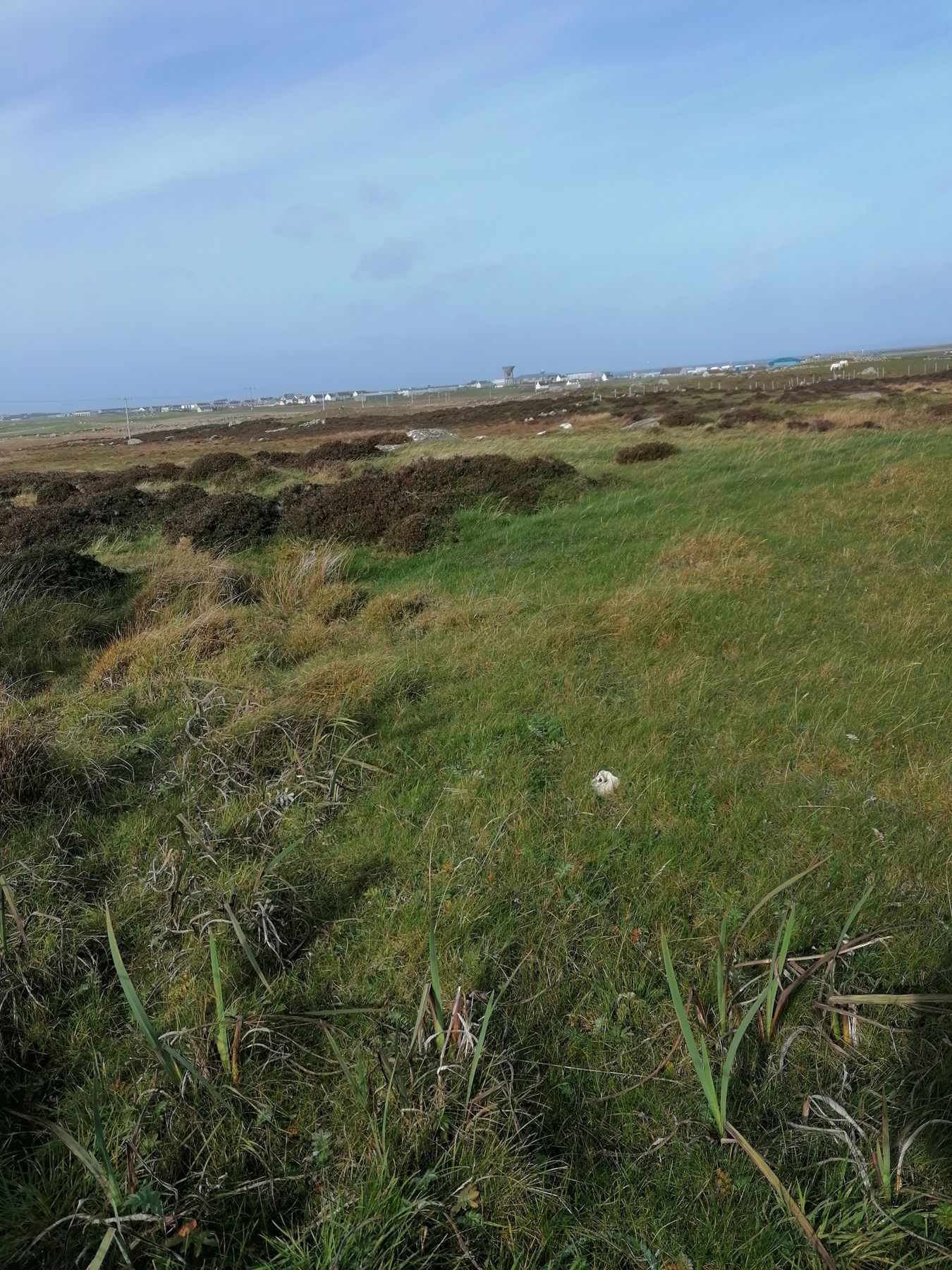 Land for sale in 26 Aird, Isle Of Benbecula, Western Isles HS7 Zoopla