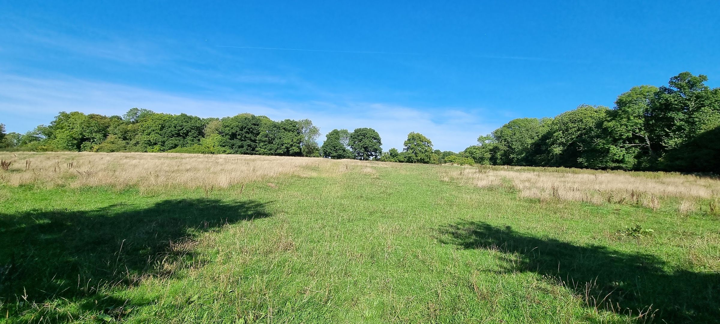 Land for sale in Flaunden Lane, Hertfordshire HP3 Zoopla
