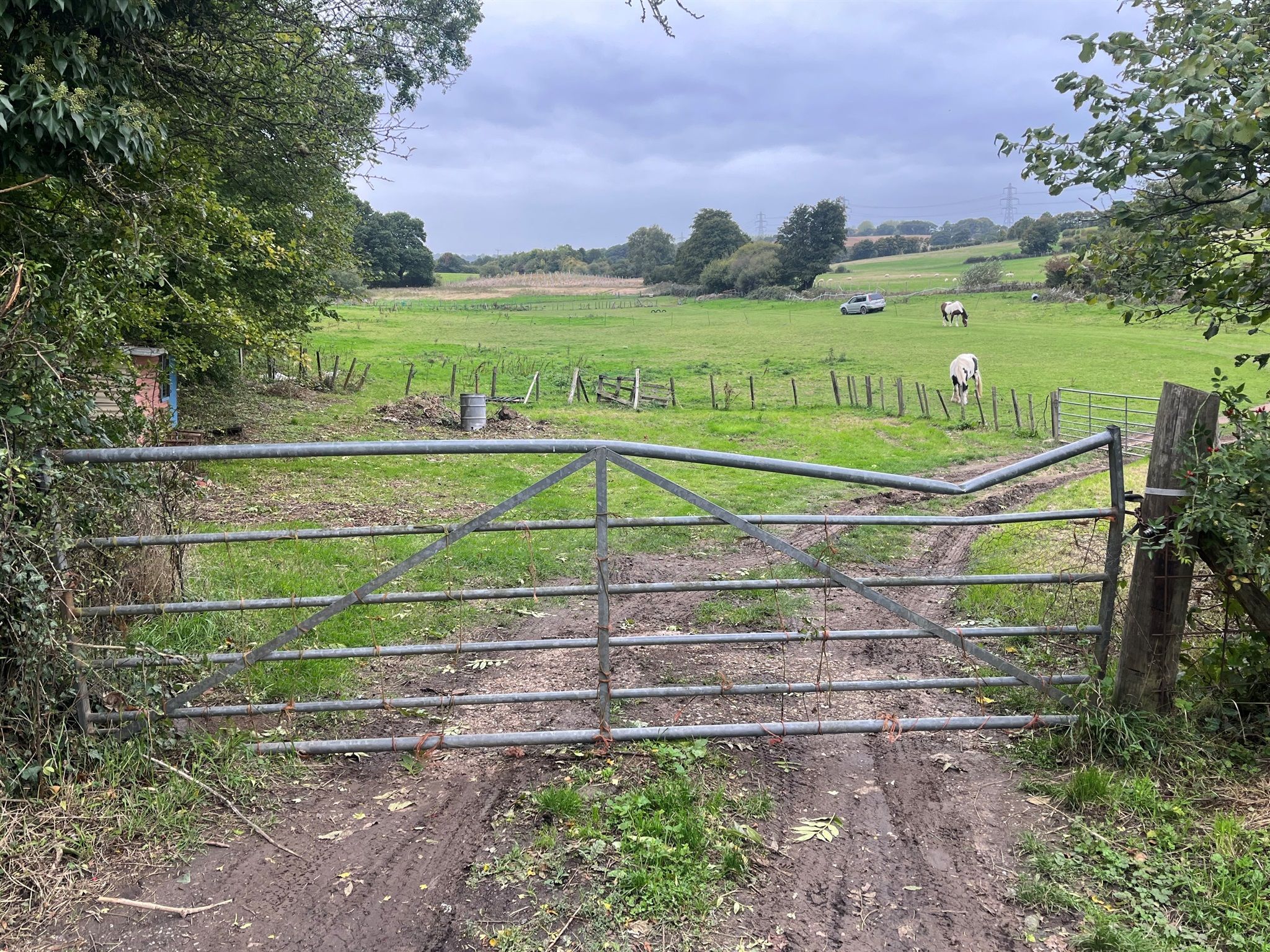 Equestrian property for sale in Cottage Lane, Westfield, Hastings TN35