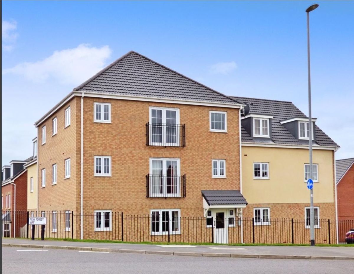 Property For Sale In New Forest Area at Jennifer Whatley blog