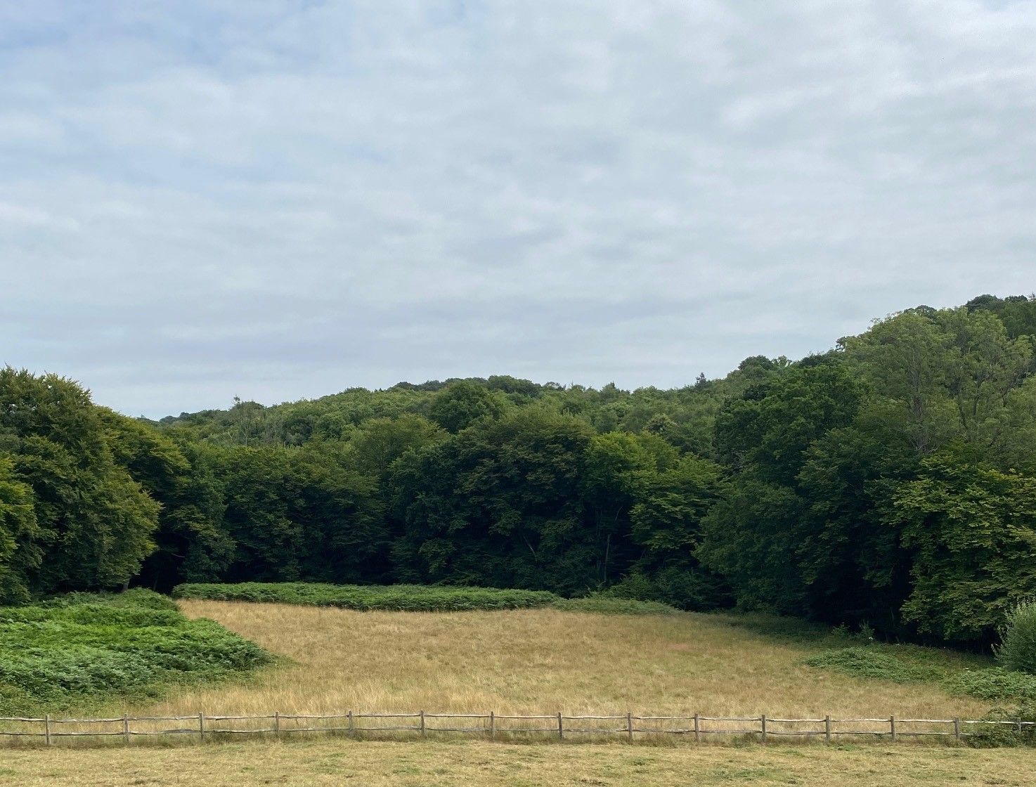 Land for sale in Riseden Road, Wadhurst TN5 Zoopla