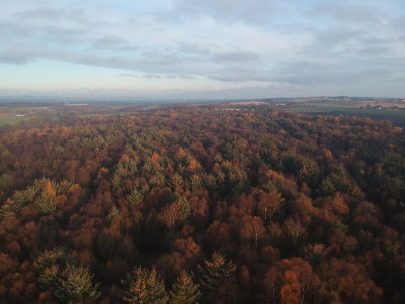 Land for sale in Rough Park Plantation, By Cluny, Cardenden, Fife KY5