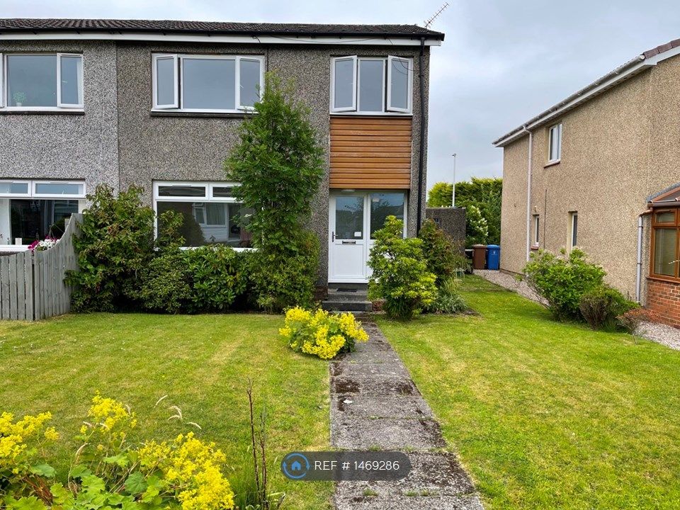 3 bed semidetached house to rent in Canmore Drive, Stenhousemuir