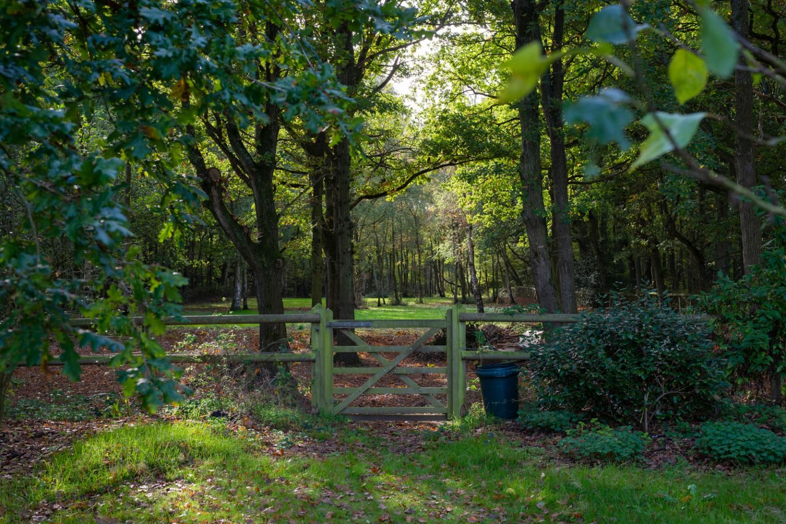 6 bed detached house for sale in Bromley Green Road, Ruckinge, Ashford