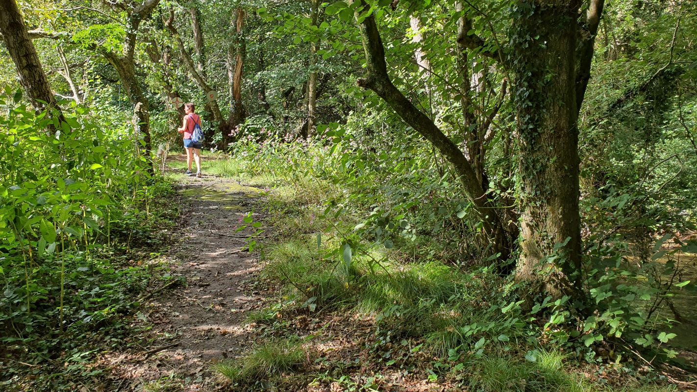 Land for sale in Parcel 2 (8 Acres) TyIsaf Farmland, Penyrheol