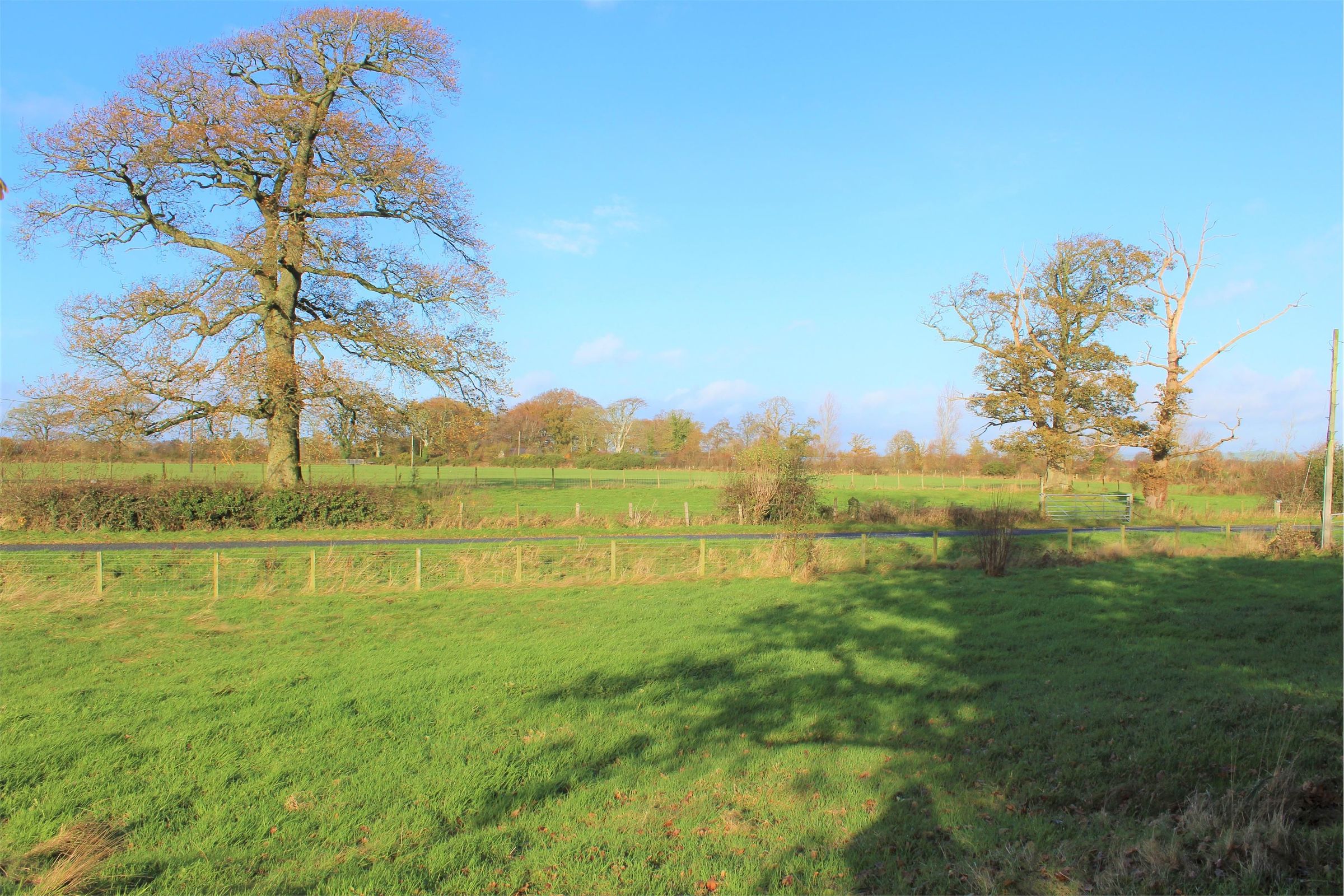 Land for sale in Land At Midlocharwoods, Bankend, Ruthwell DG1 Zoopla