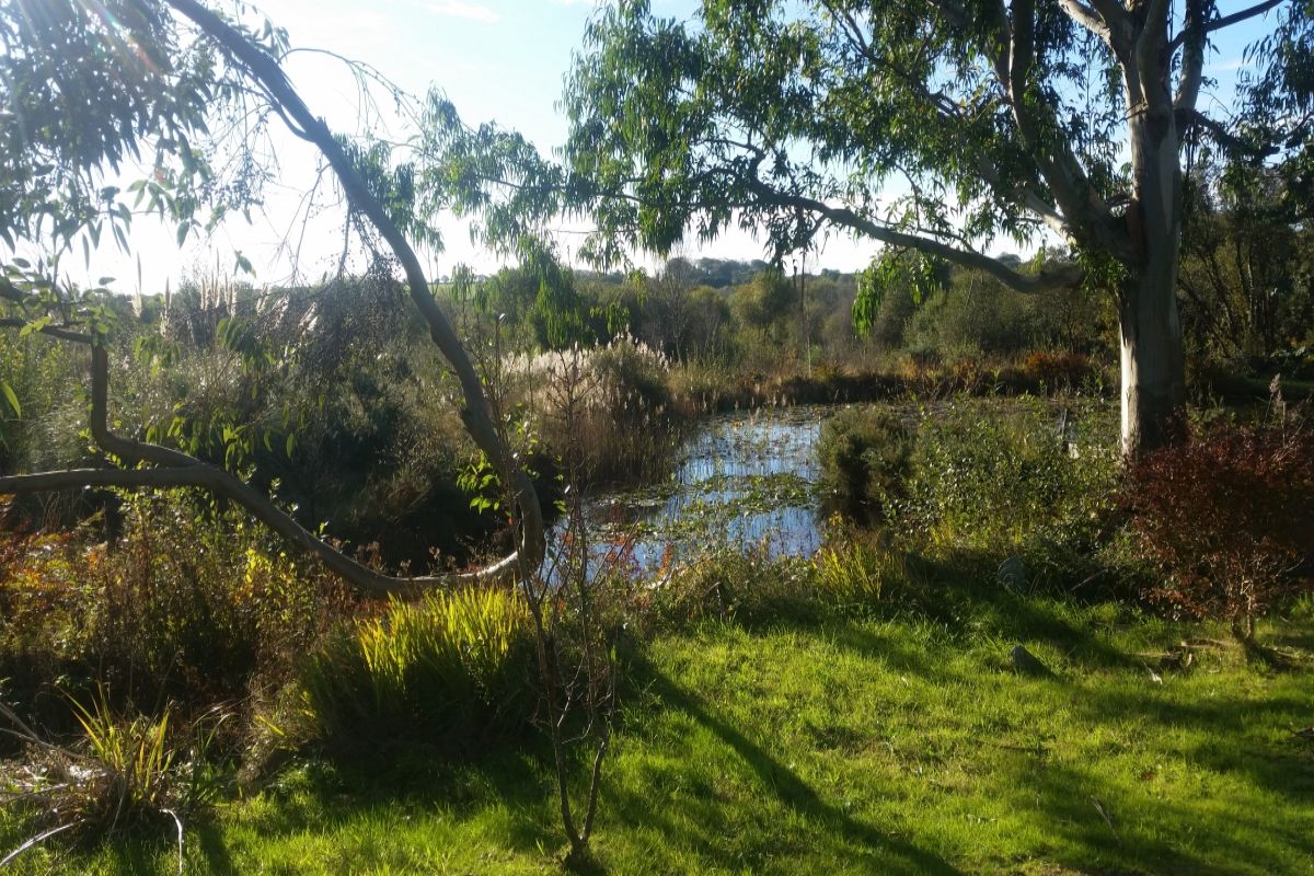 Land for sale in Coombe Road, Lanjeth, High Street, St. Austell