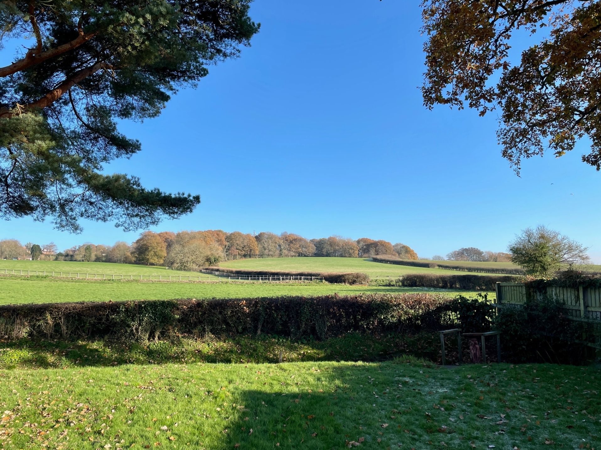 4 bed bungalow for sale in Cold Ash Hill, Cold Ash, Berkshire RG18 Zoopla