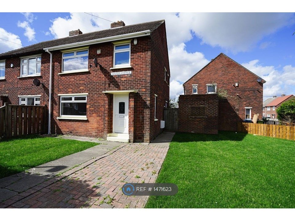 3 bed semidetached house to rent in Seaton Avenue, Houghton Le Spring