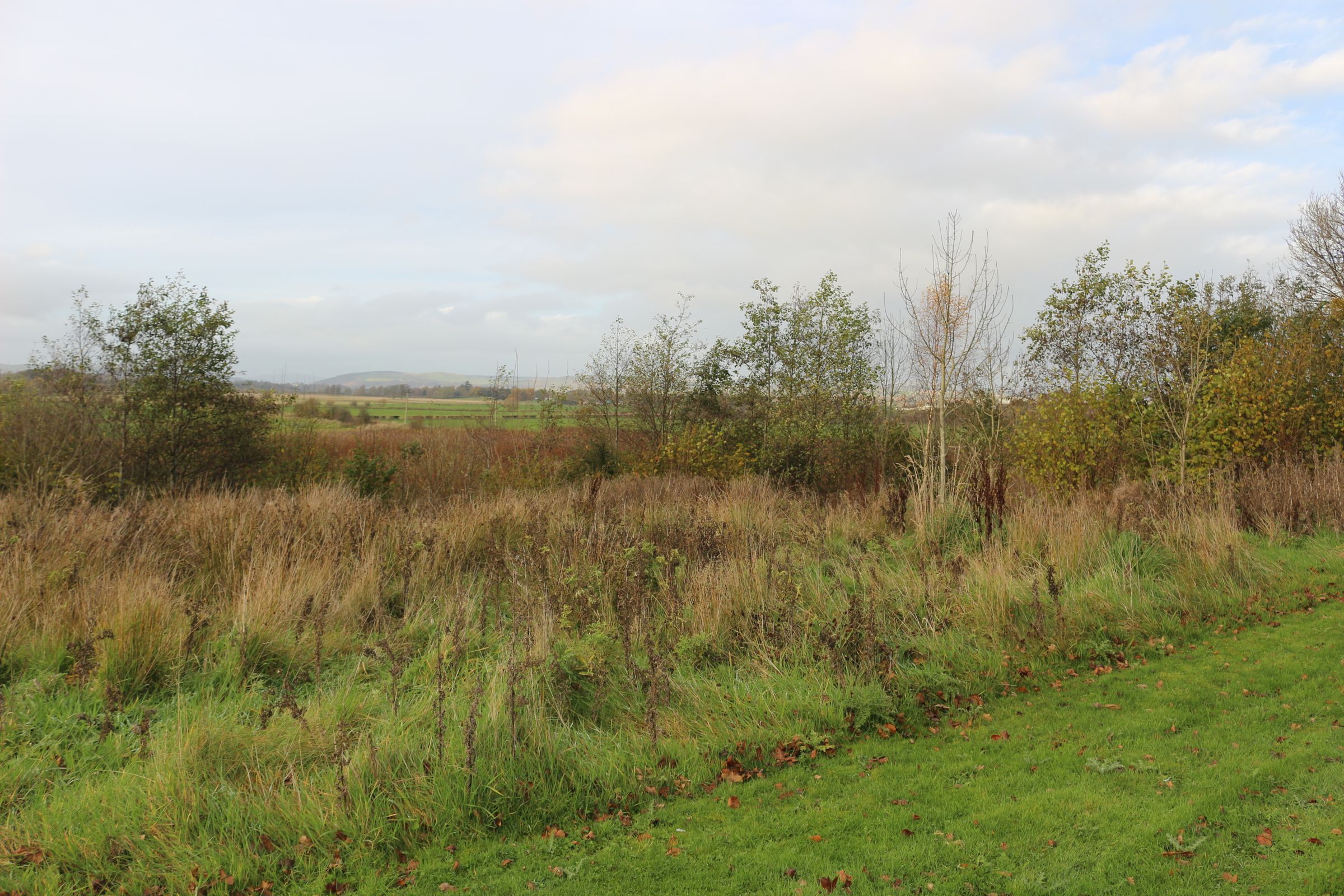 Dalscone Way / Avenue, Dumfries DG1