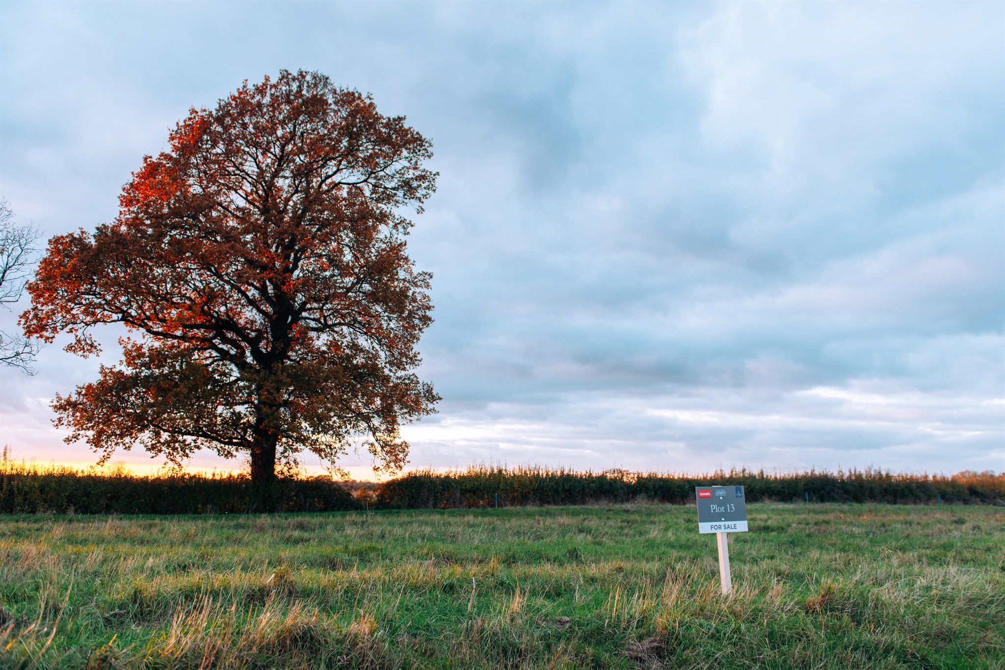 New home, Detached house for sale in High Ground, Tadpole Garden
