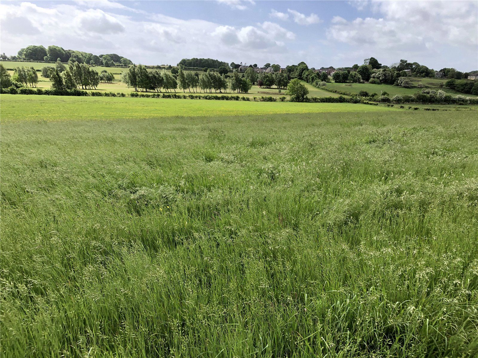 Land At Shadwell, Tarn Lane, Shadwell LS17
