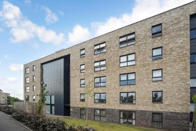 Haggs Gate, Shawlands, Glasgow G41  