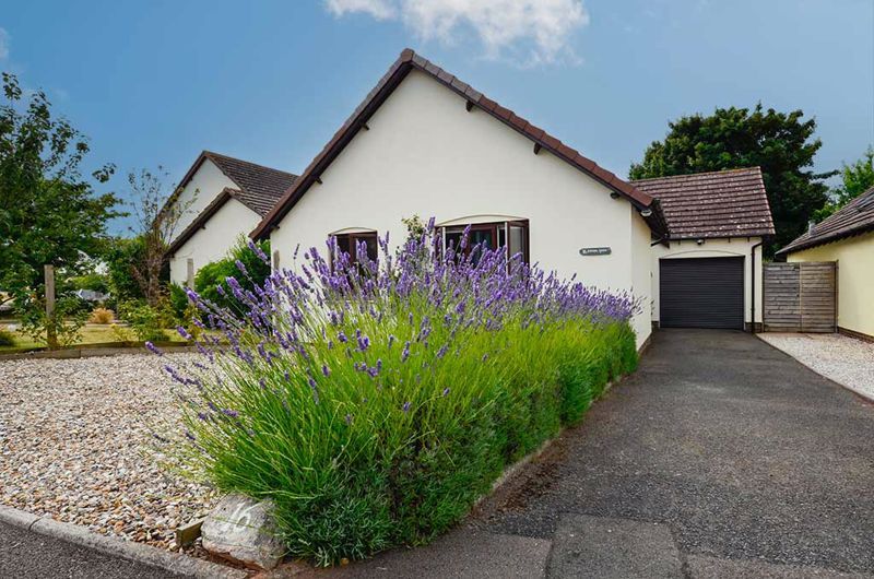 3 bed detached bungalow for sale in Ferrers Green, Churston Ferrers