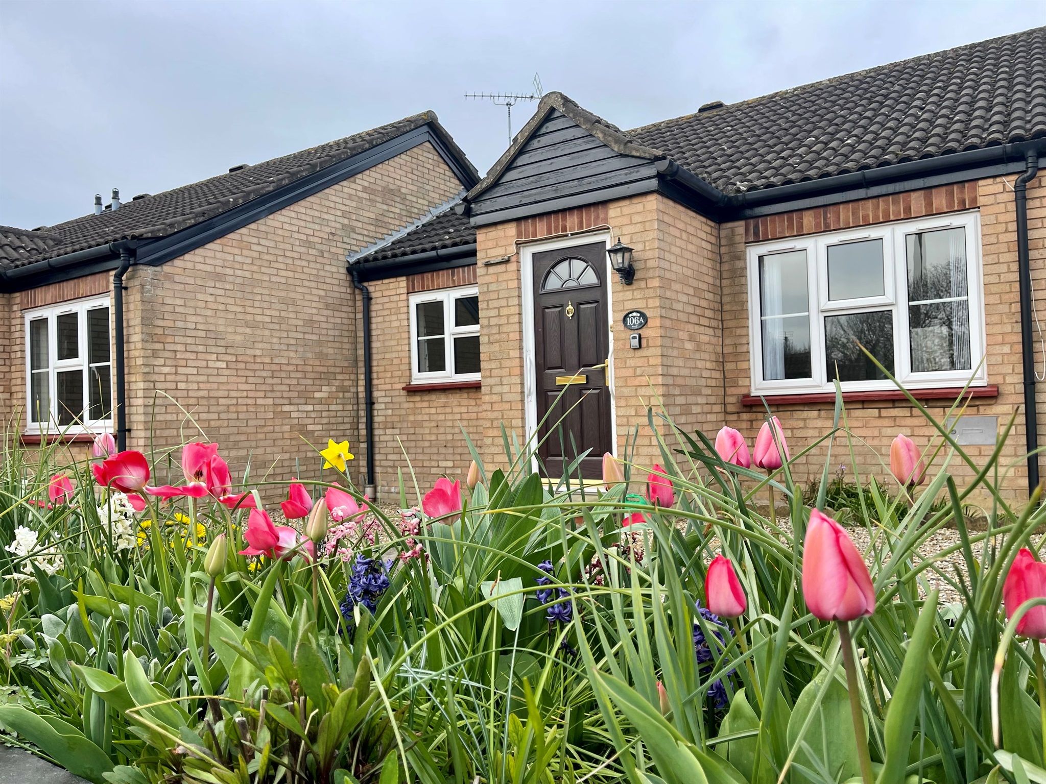 2 bed semidetached bungalow for sale in Germander Place, Conniburrow