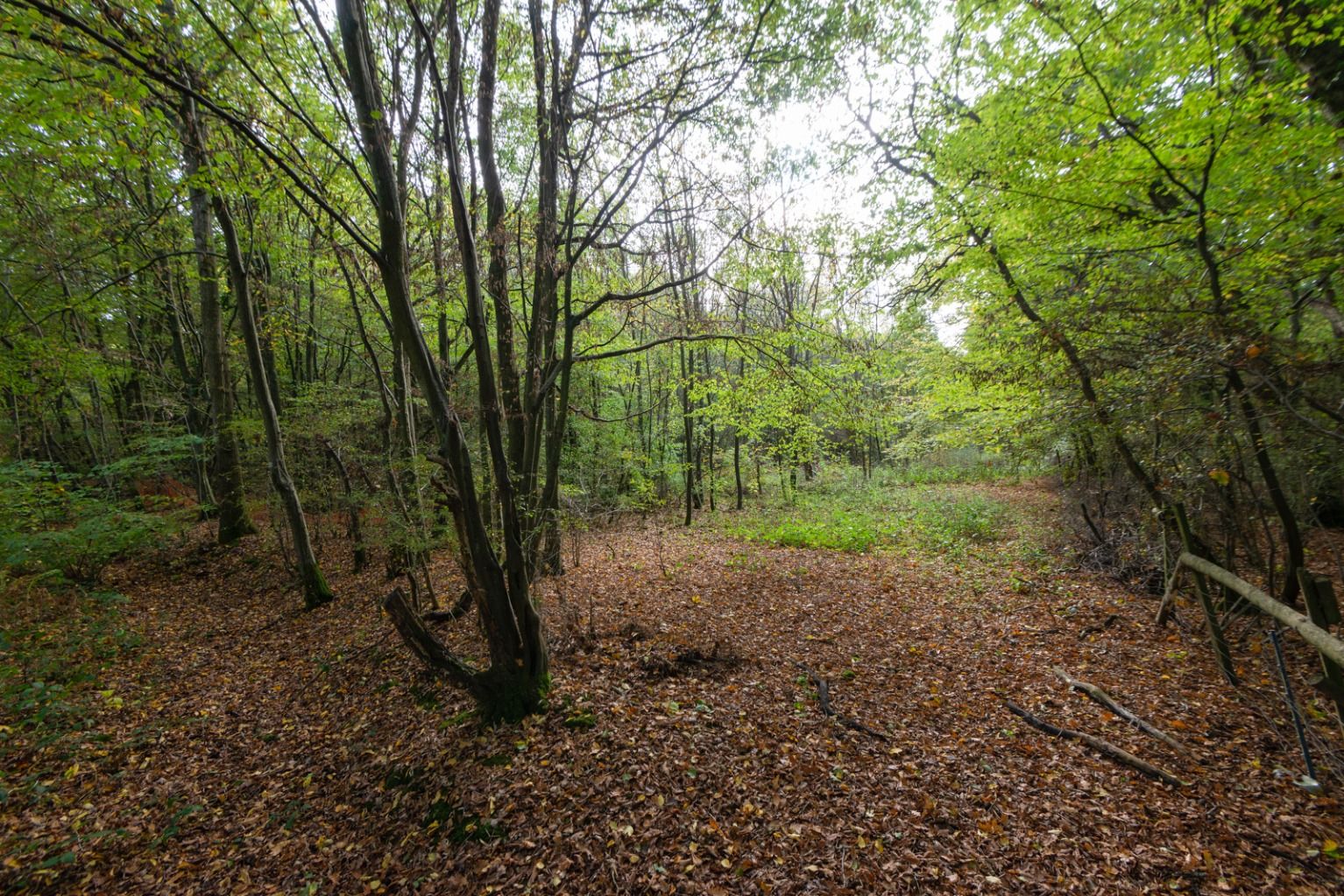 6 bed detached house for sale in Bromley Green Road, Ruckinge, Ashford