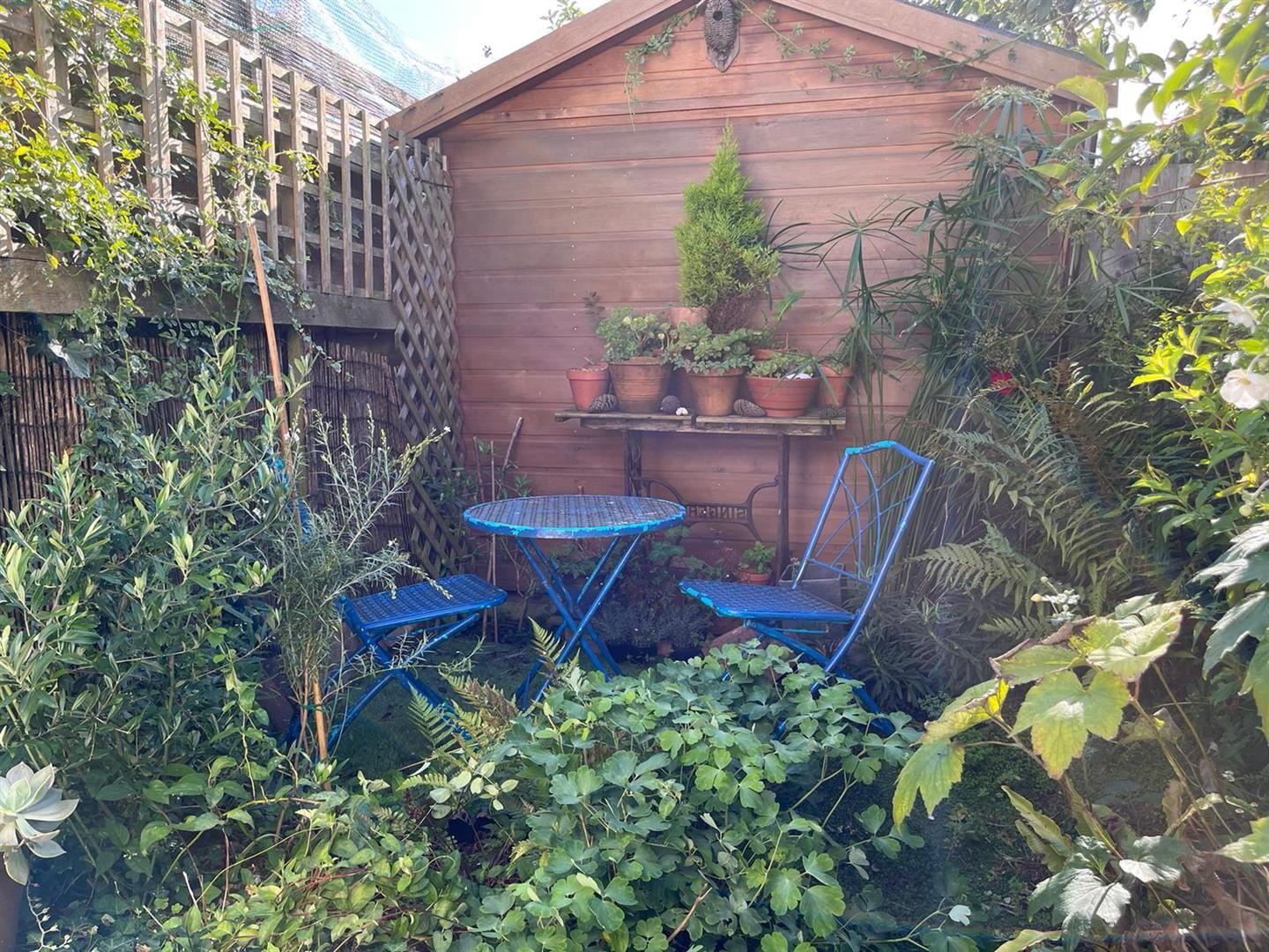 Studio to rent in Caroline Row, Hayle TR27 Zoopla