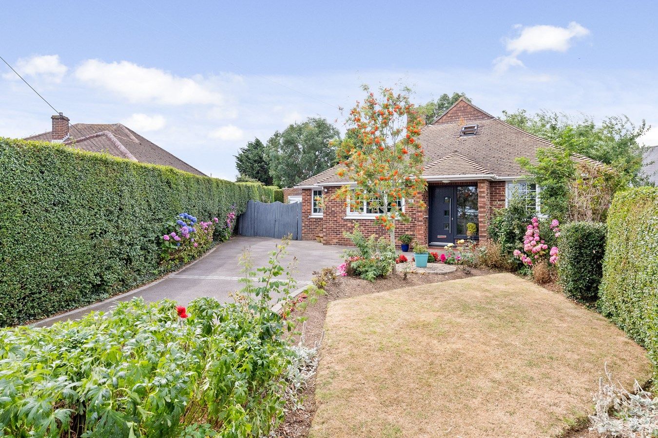 4 bed detached bungalow for sale in Albert Road, Capel Le Ferne