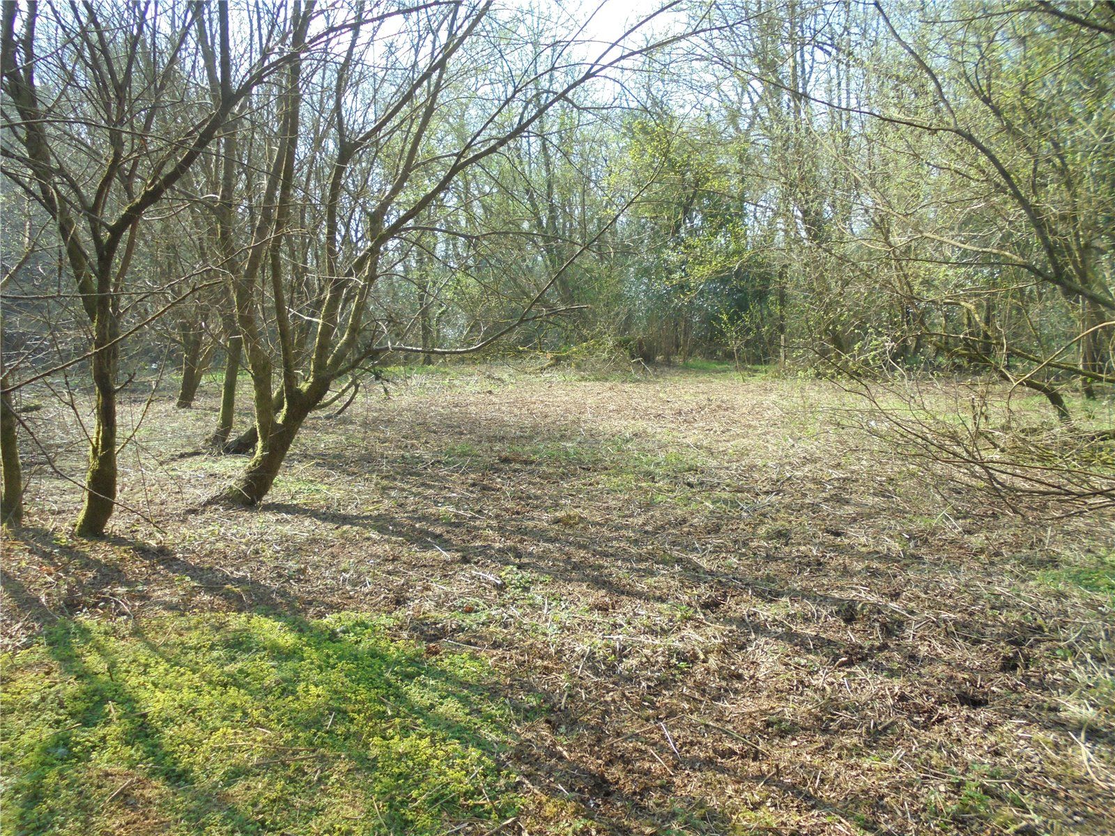 Land for sale in Looe Mills, Liskeard, Cornwall PL14 Zoopla