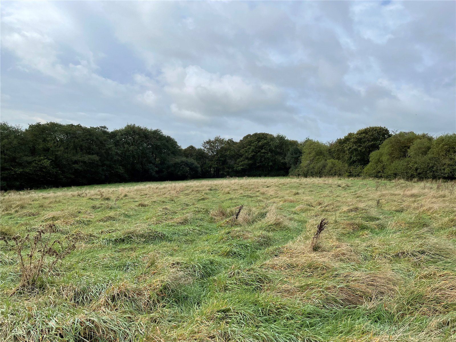 Land for sale in Land At Cookbury Lot 3, Cookbury, Holsworthy, Devon