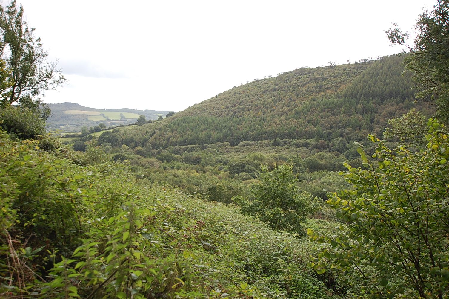 Land for sale in Talley, Llandeilo SA19 Zoopla