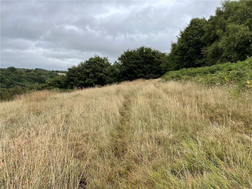Land for sale in Knowstone, South Molton, Devon EX36 Zoopla