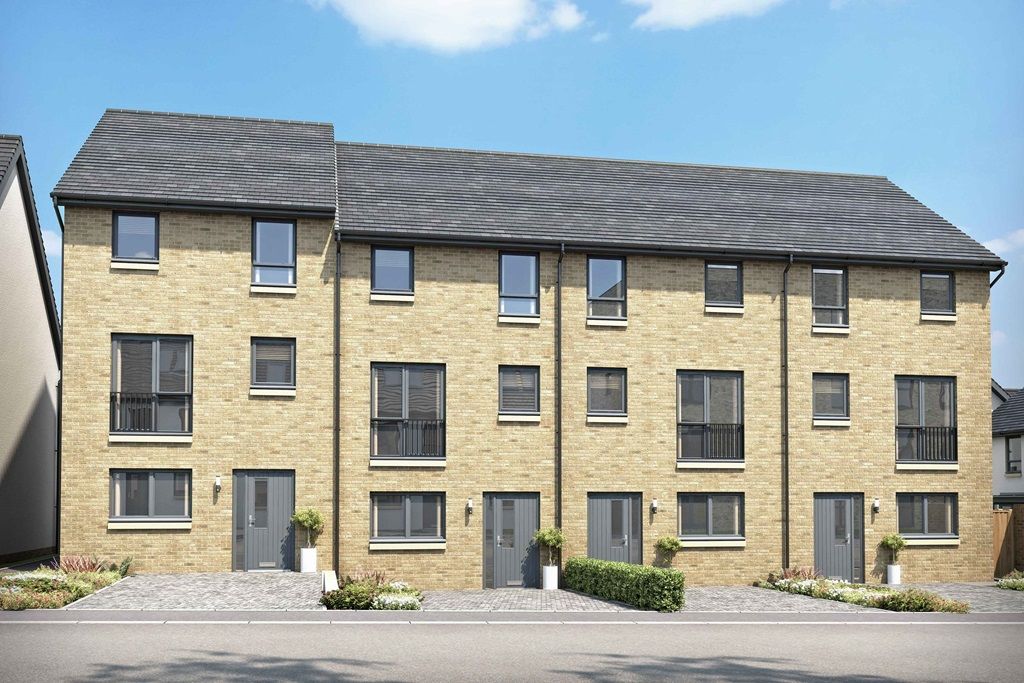 New home, 3 bed terraced house for sale in "Ashworth" at Meadowsweet