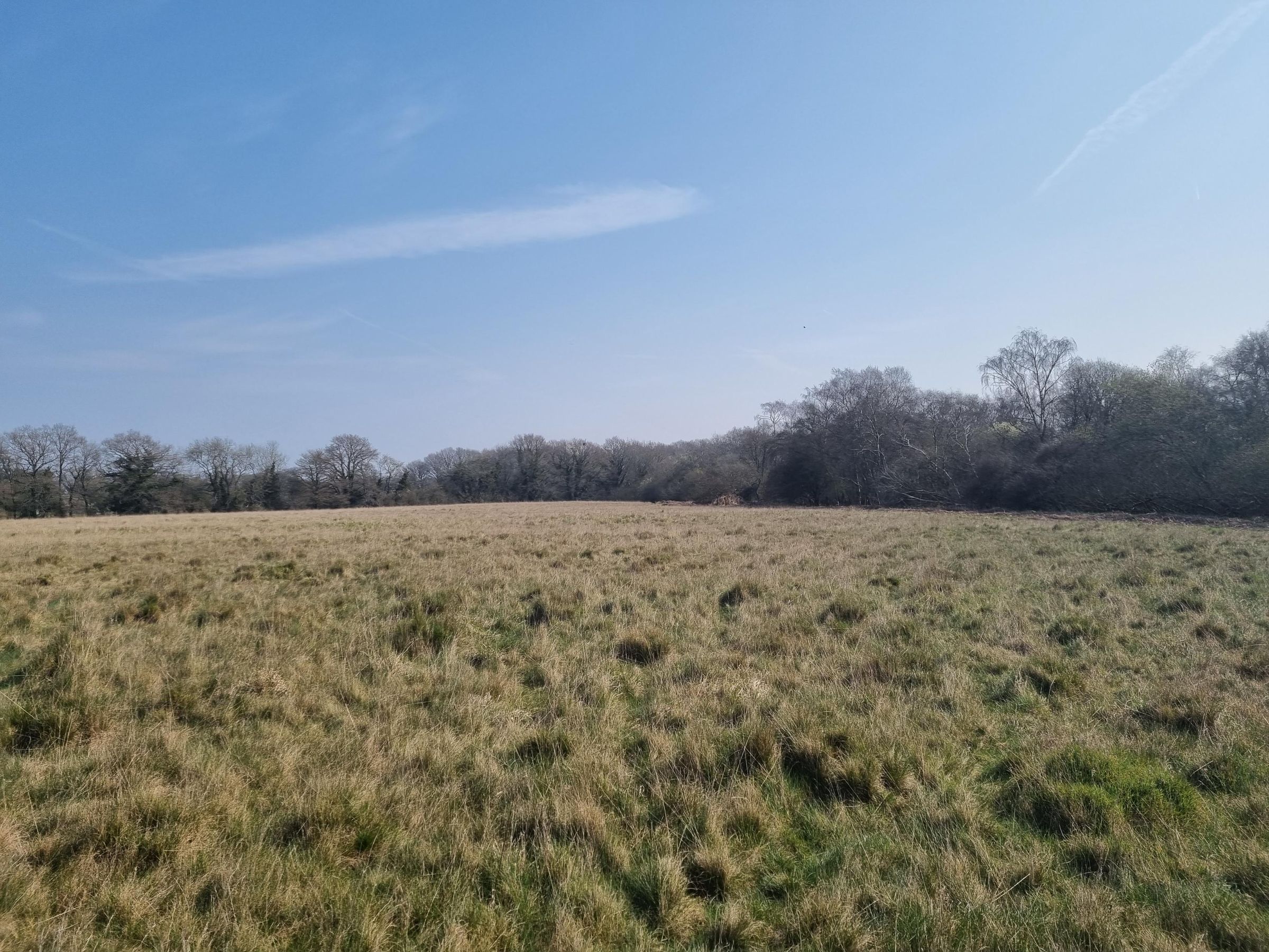 Land for sale in Burghfield Road, Tadley RG26 Zoopla
