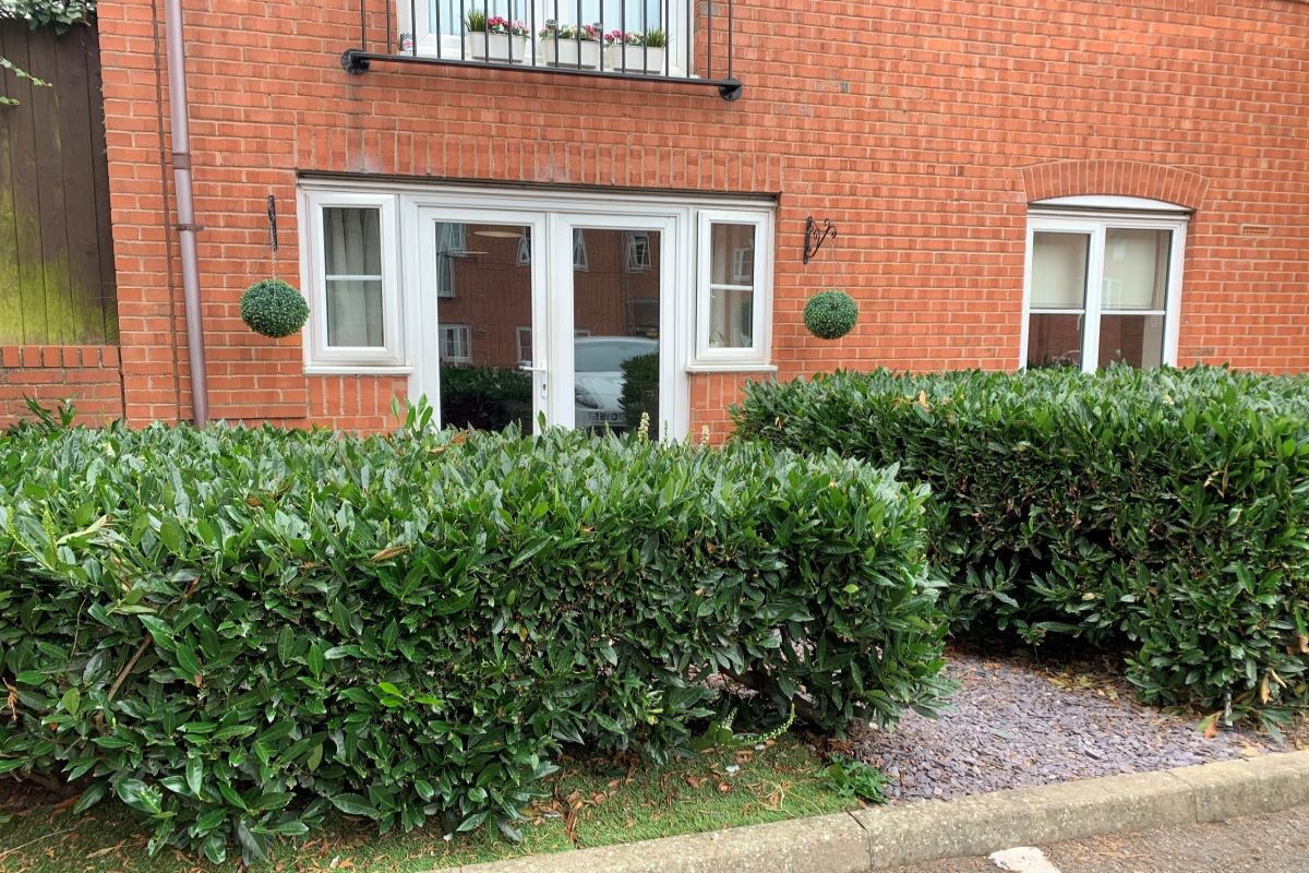 1 bed flat for sale in Nuneaton Road, Bedworth, Warwickshire CV12 Zoopla