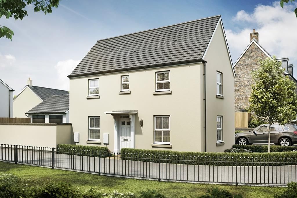 Hatton at Butcher Park Hill, Tavistock PL19