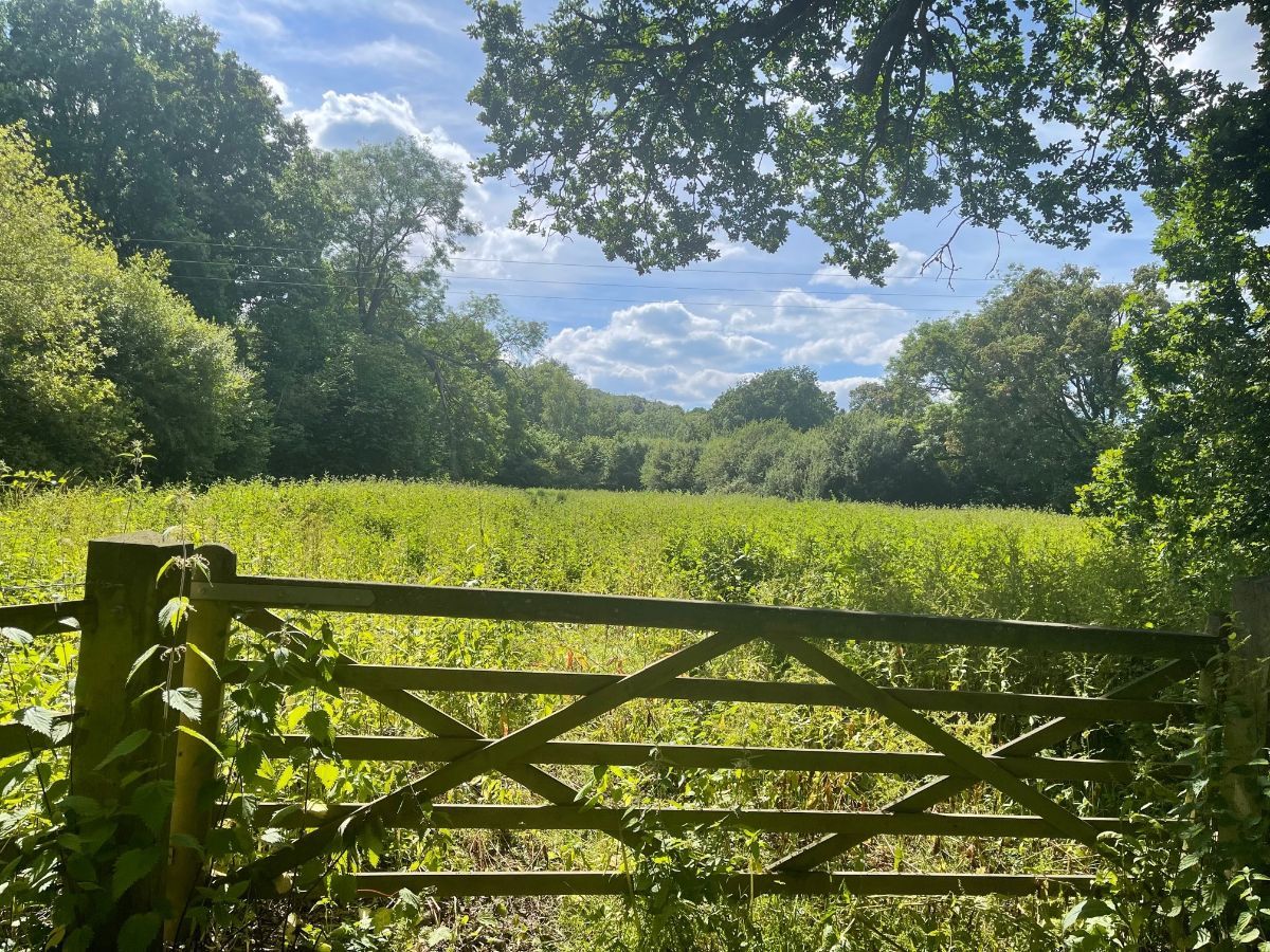 Land for sale in Lineholt, Ombersley, Droitwich WR9 Zoopla