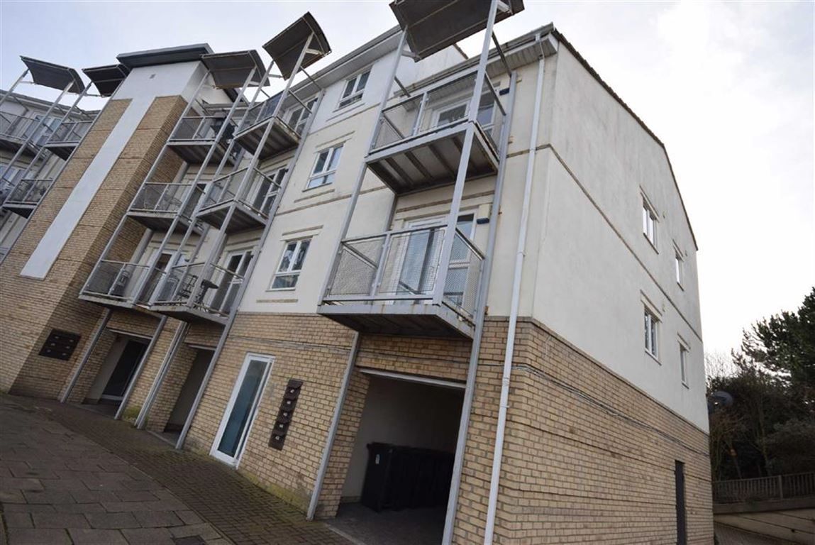 The Cove, South Shields, South Shields NE33  