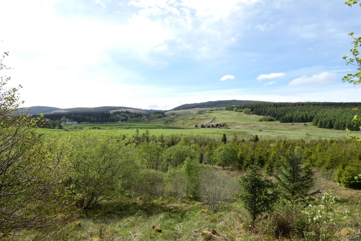Land for sale in 4.7 Acres Of Land At Craik, Roberton, Hawick TD97Ps