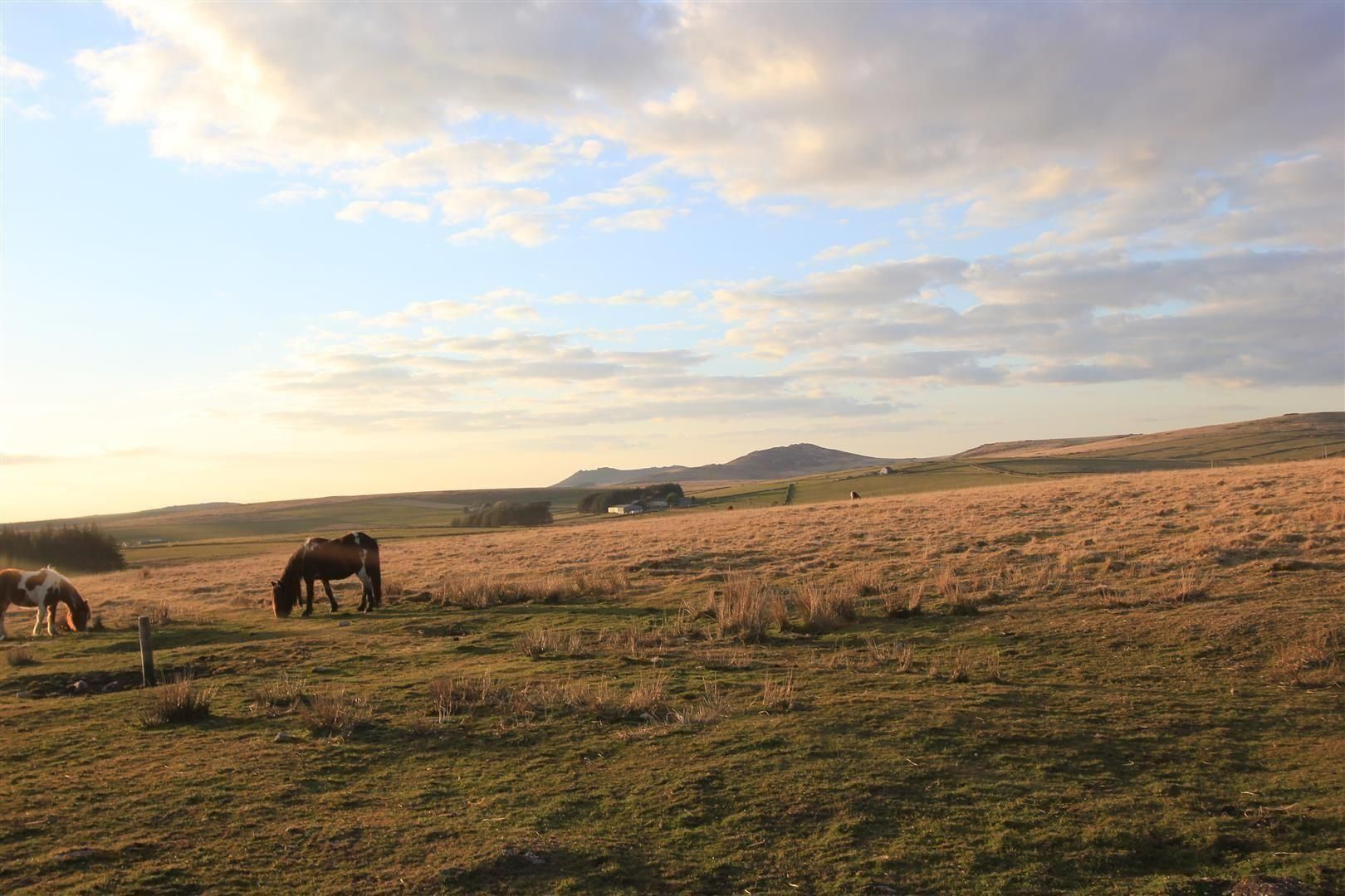 Land for sale in Plot C116 Bolventor, Launceston, Cornwall PL15 Zoopla