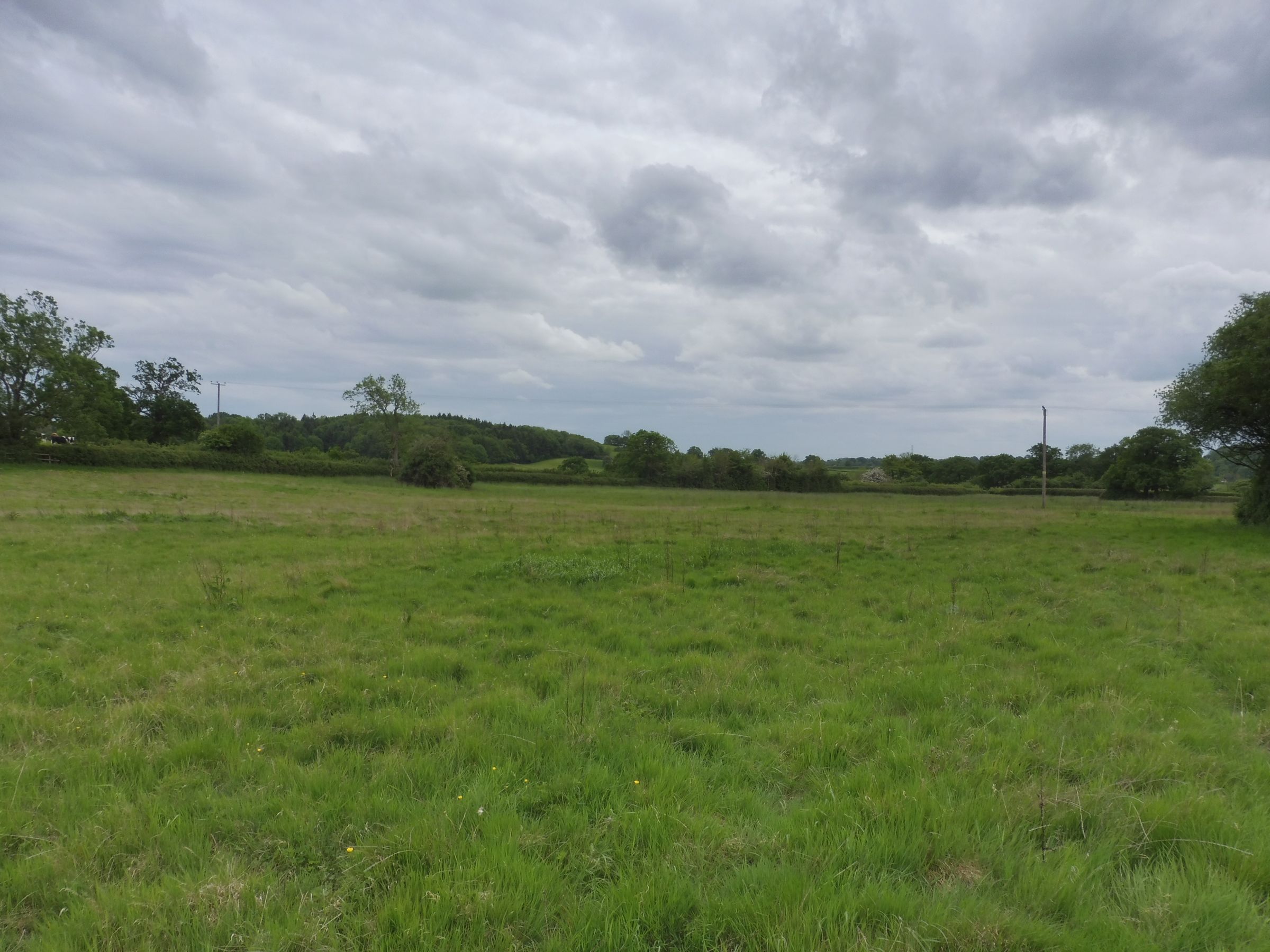 Land for sale in Copyholt Lane, Lower Bentley, Bromsgrove B60 Zoopla