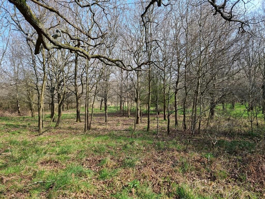 Land for sale in Reading Road, Aldermaston, Reading RG7 Zoopla