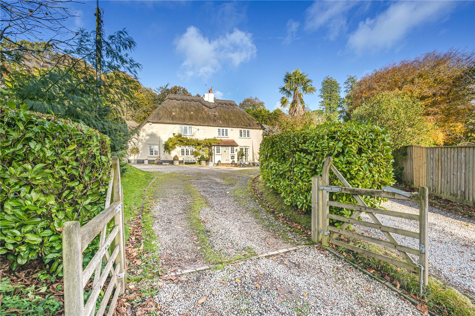 4 bed detached house for sale in West Hill Road, West Hill, Ottery St