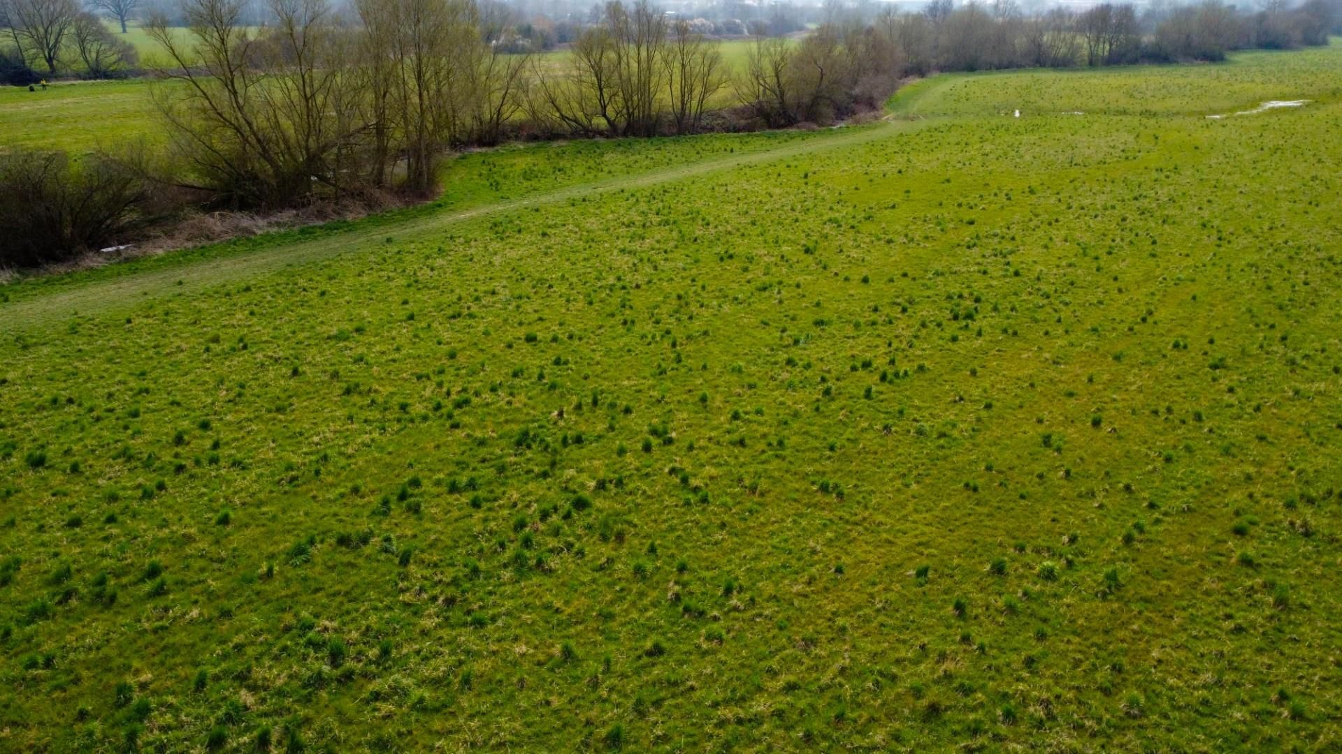 Land for sale in Plot B30, Tanyard Farm, Hadlow Road, Tonbridge, Kent