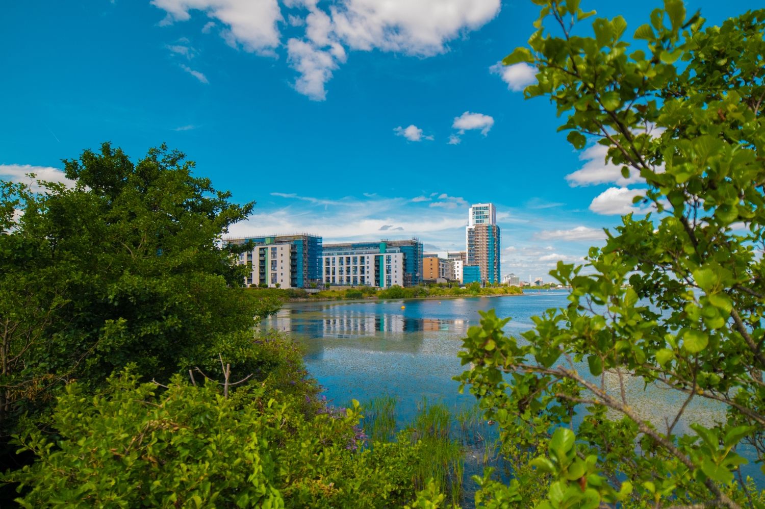 1 bed terraced house to rent in 6 Hartland House, Prospect Place