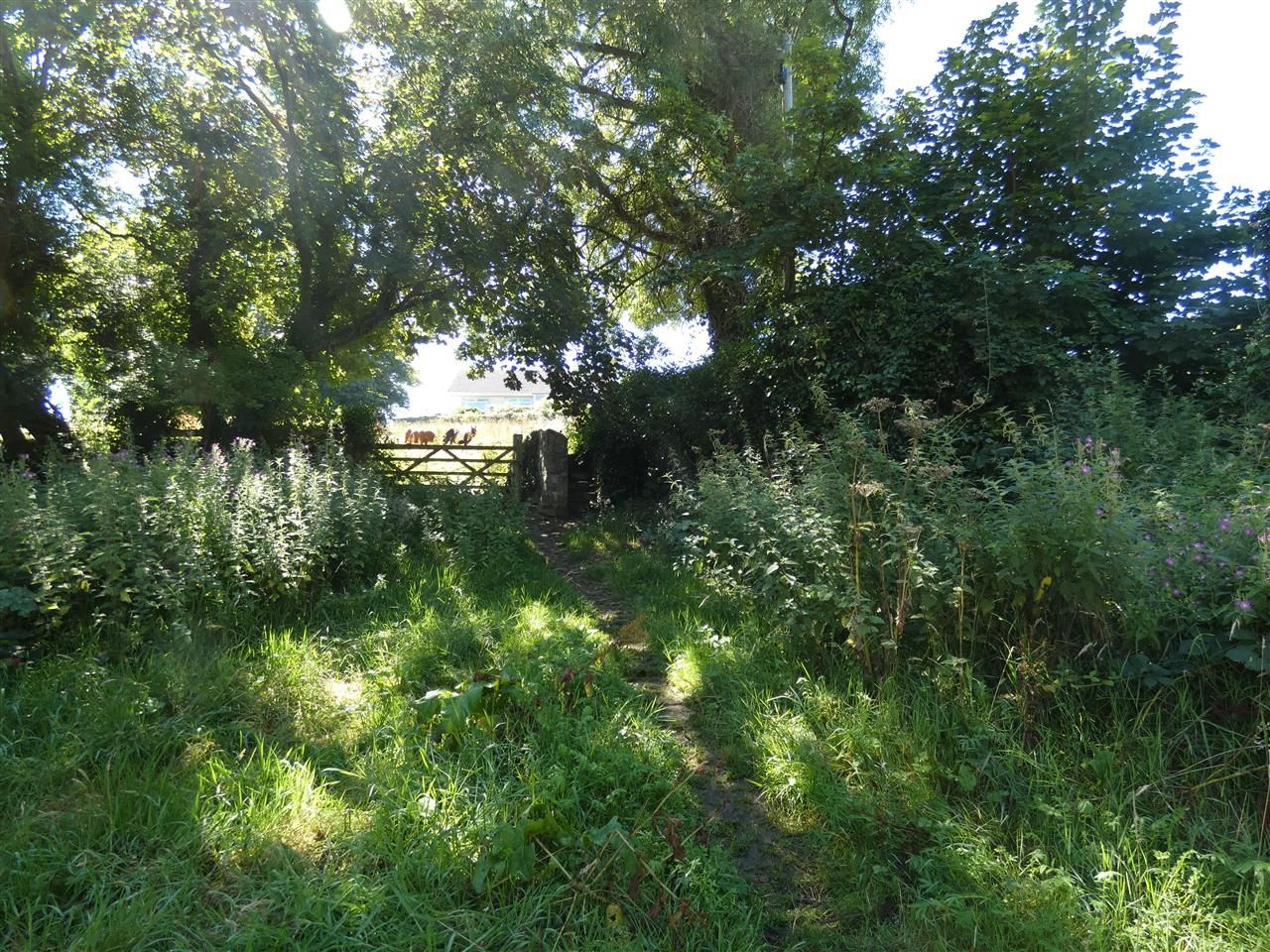 Land for sale in The Old Tannery, Tower Hill, Fishguard SA65 Zoopla