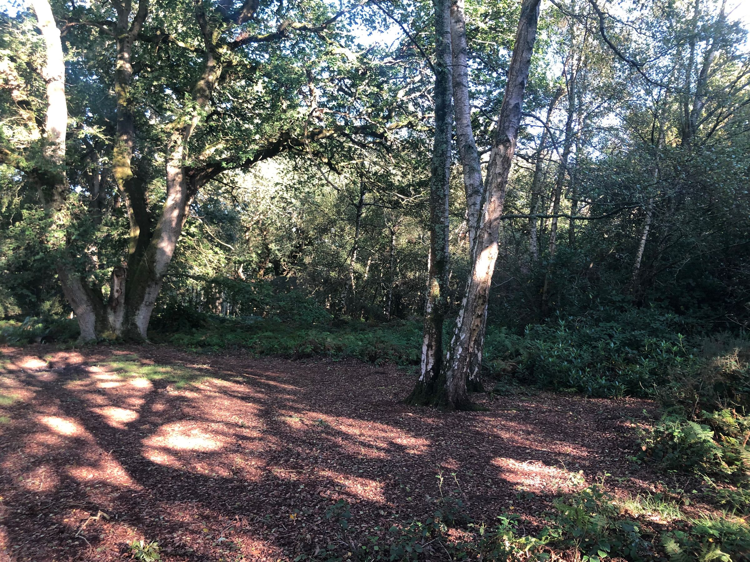 Land for sale in Blackheath Lane, Surrey GU4 Zoopla