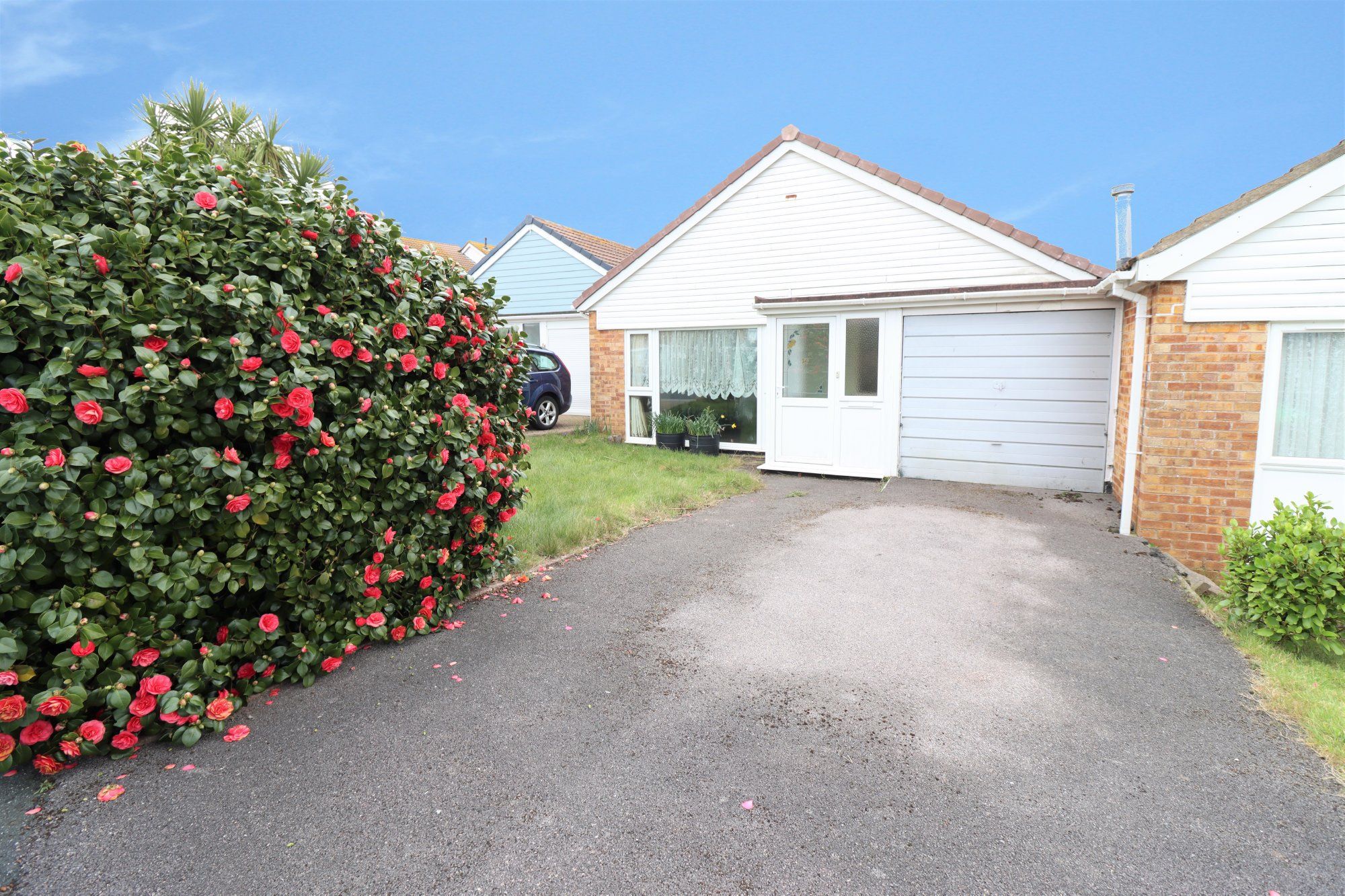 2 bed terraced bungalow for sale in Blackbrook Avenue, Paignton TQ4