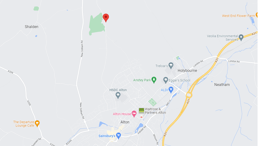 2 bed detached bungalow for sale in Old Odiham Road, Shalden Parish