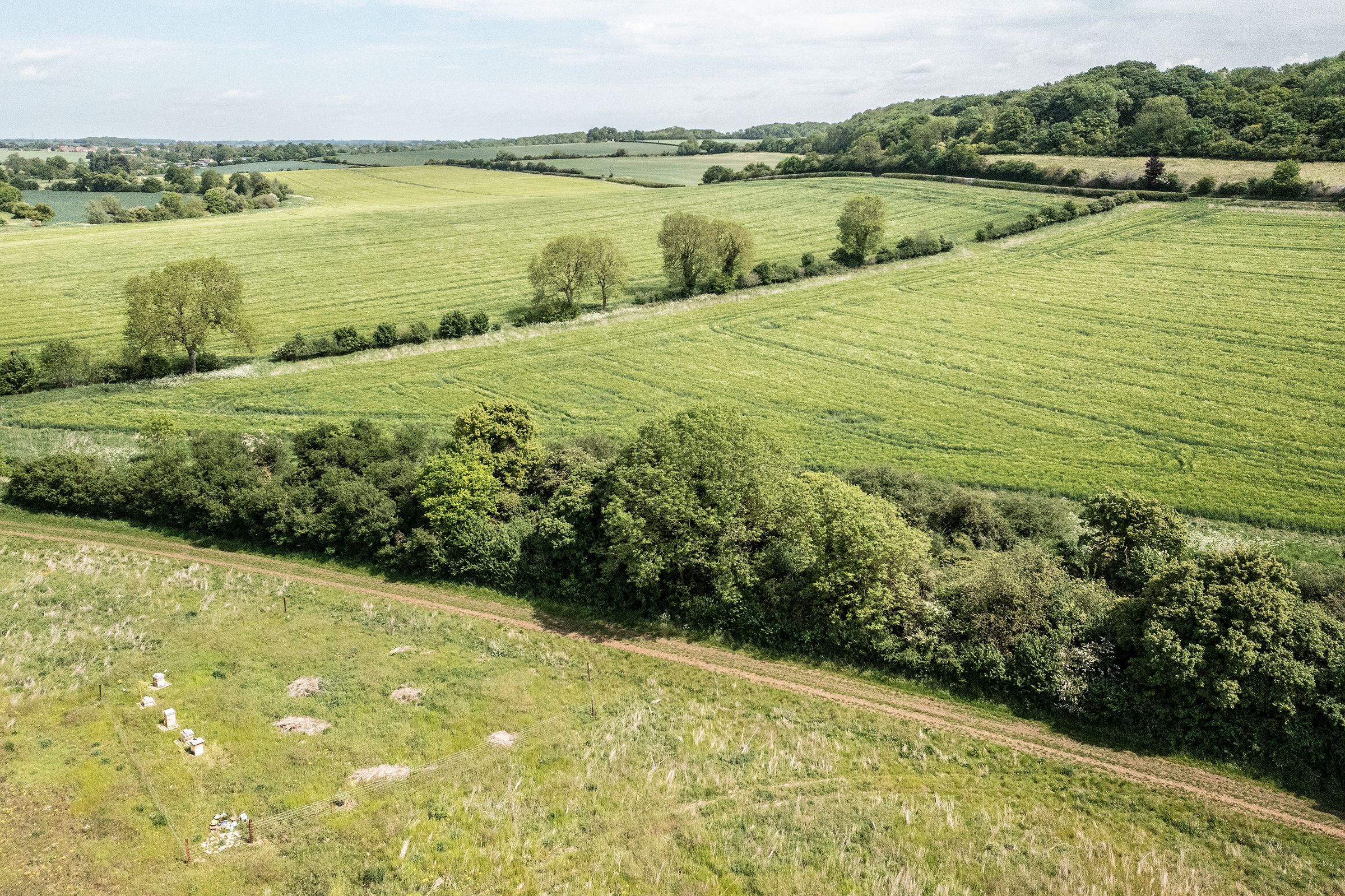 Land for sale in White Beam Way, Surrey KT20 Zoopla