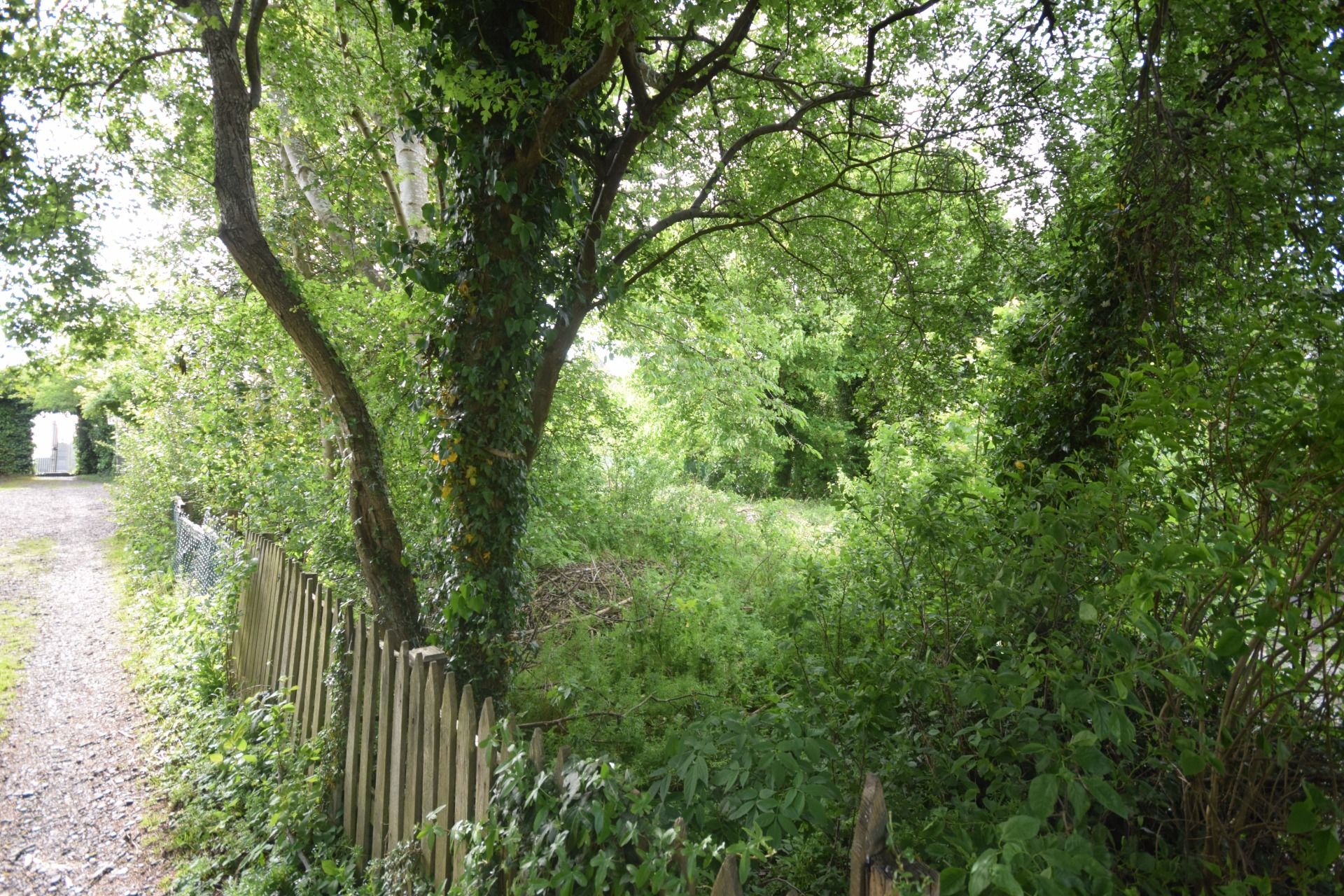 Land for sale in South West Of Crees Inn, Main Street, PH2